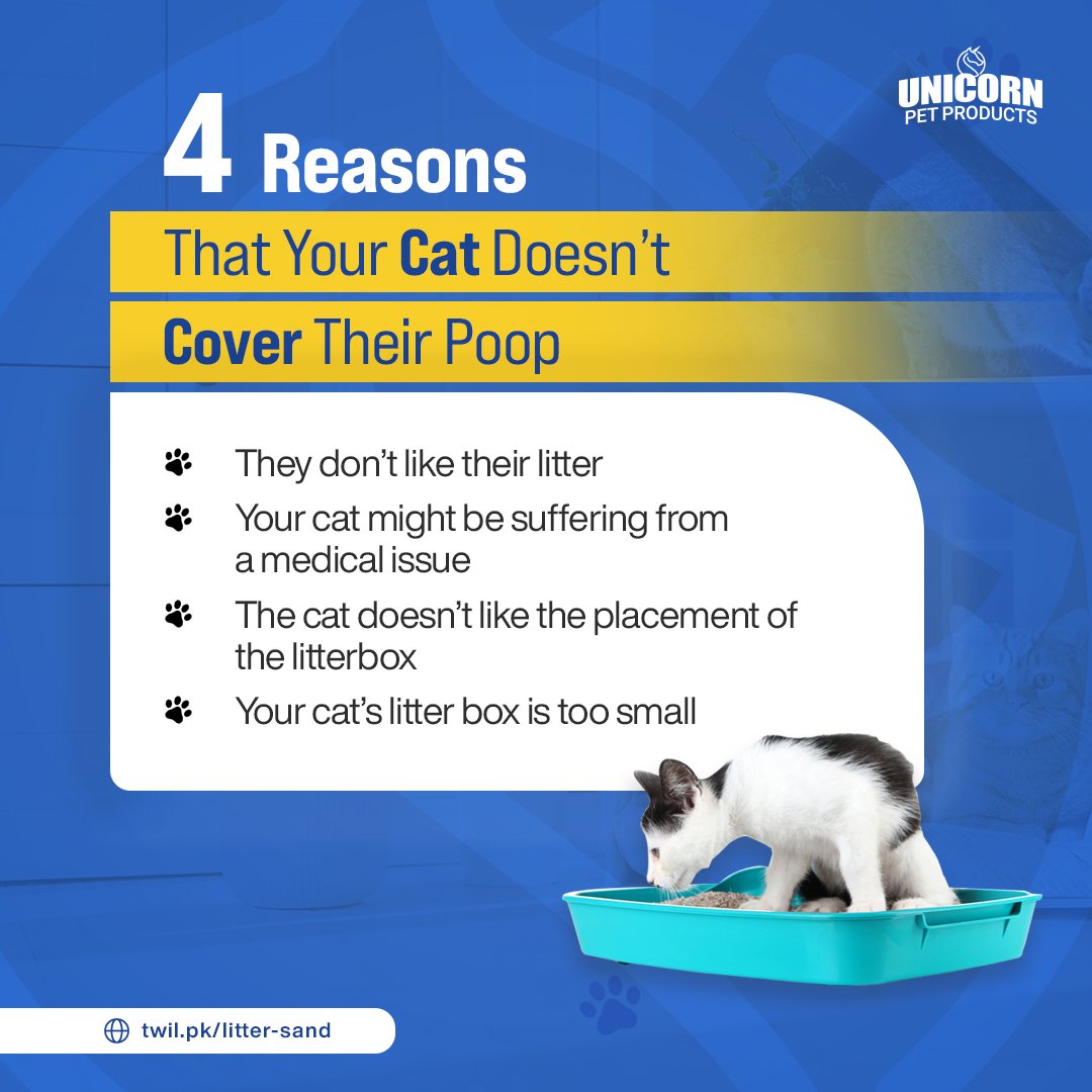Cat Litter Sand - 5kg Bag - Image 6