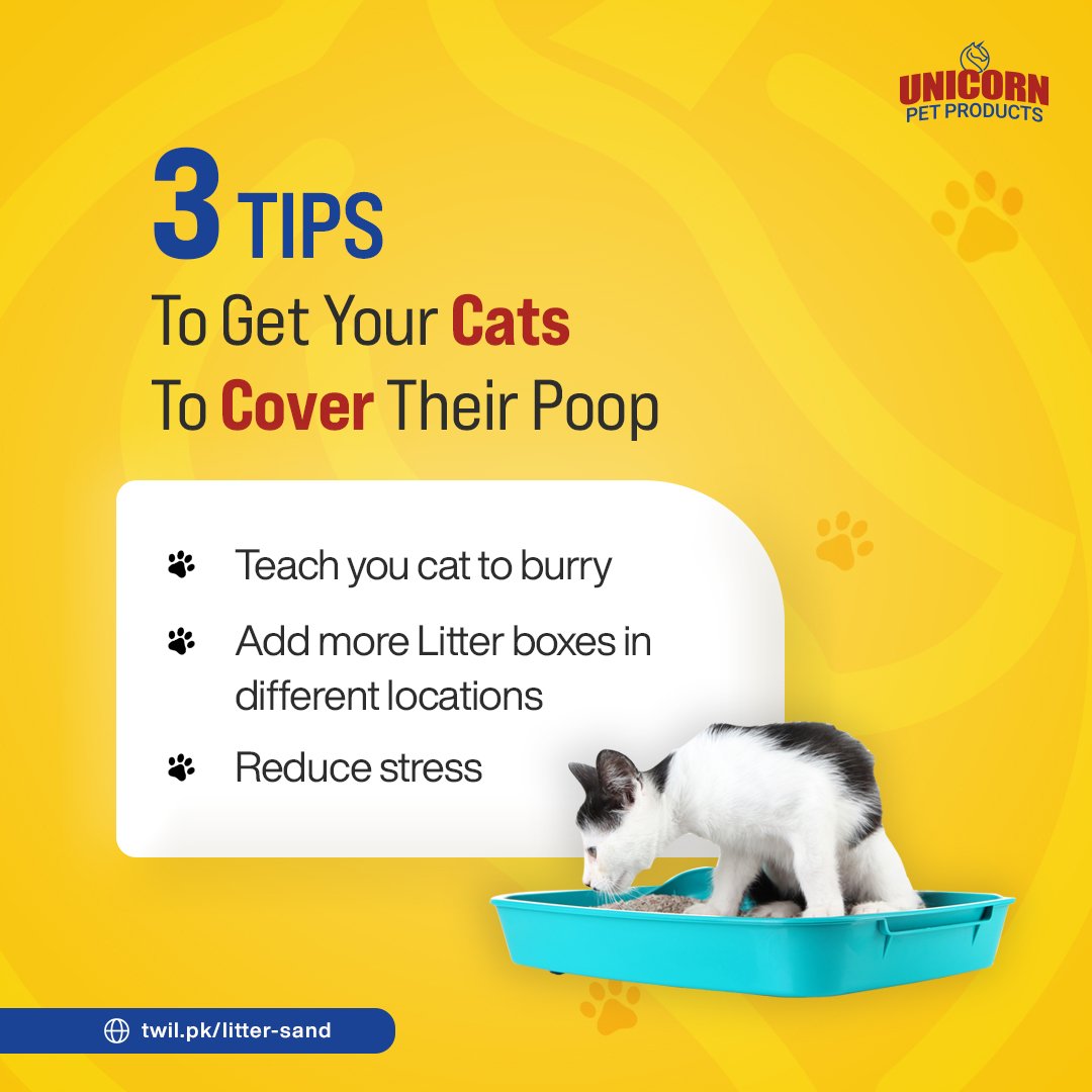 Cat Litter Sand - 5kg Bag - Image 7