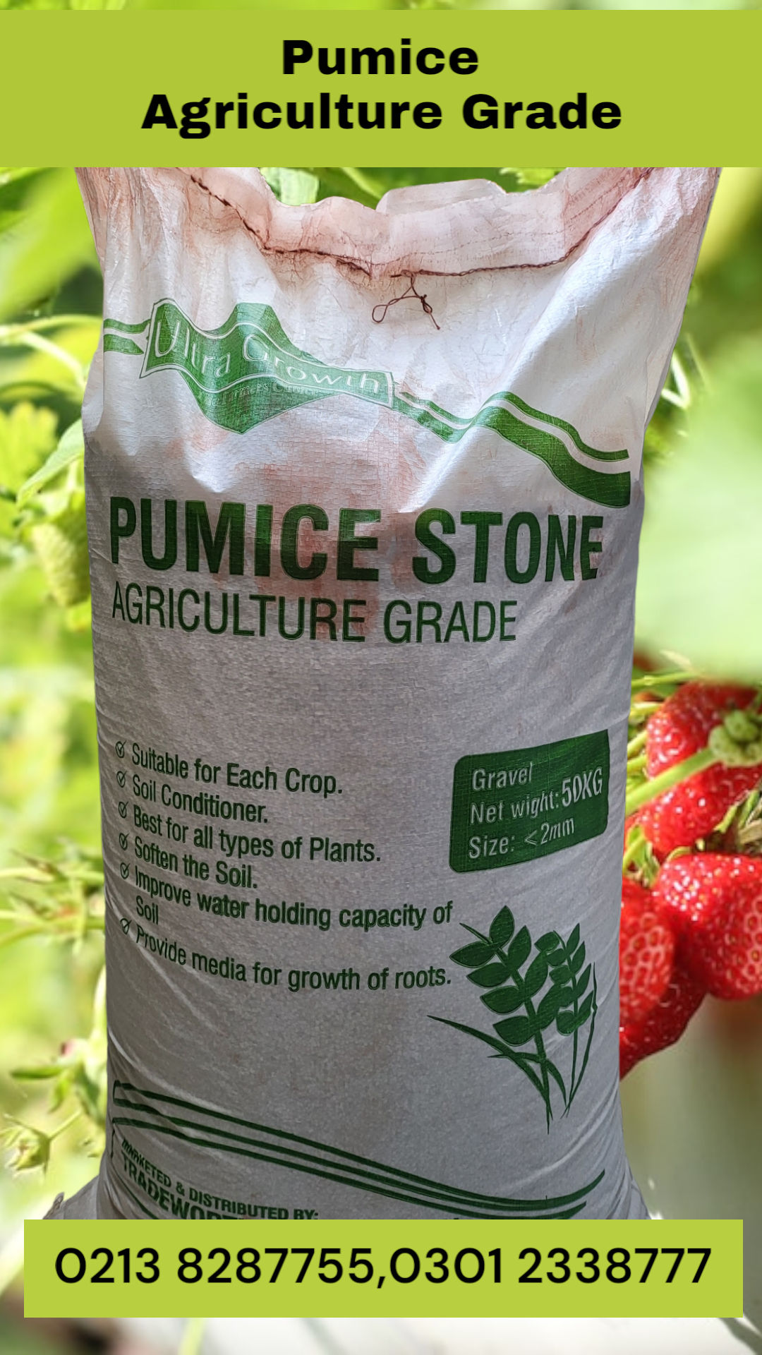 Pumice Stone Agriculture Grade